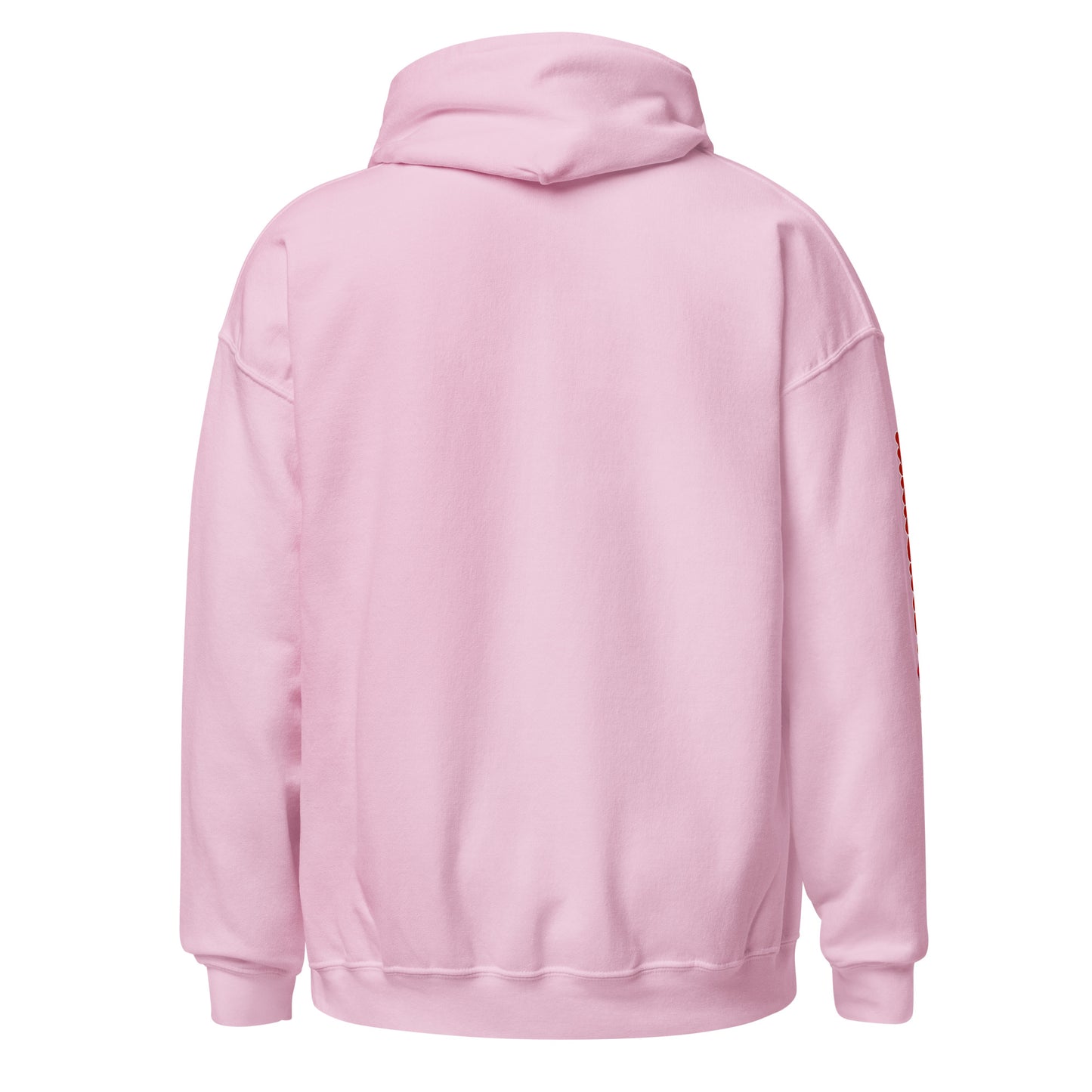 DTeam Unisex Hoodie