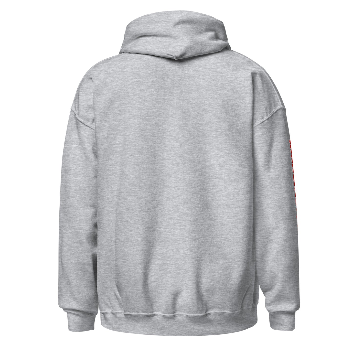 DTeam Unisex Hoodie